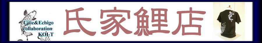  Hp   sVc@̔ ƌX