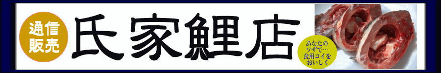 鯉 食用鯉 鯉料理 販売 氏家鯉店