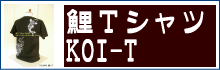 鯉Tシャツ