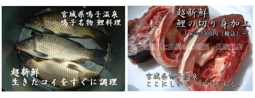 鳴子温泉 お土産 鯉のあらい 鯉のうま煮 店頭販売一覧 氏家鯉店 宮城県東鳴子温泉 鳴子温泉 お土産 鯉のあらい 鯉のうま煮 店頭販売一覧 氏家鯉店 宮城県東鳴子温泉